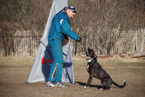 Training in Estonia 30.3 - 1.4. 2007